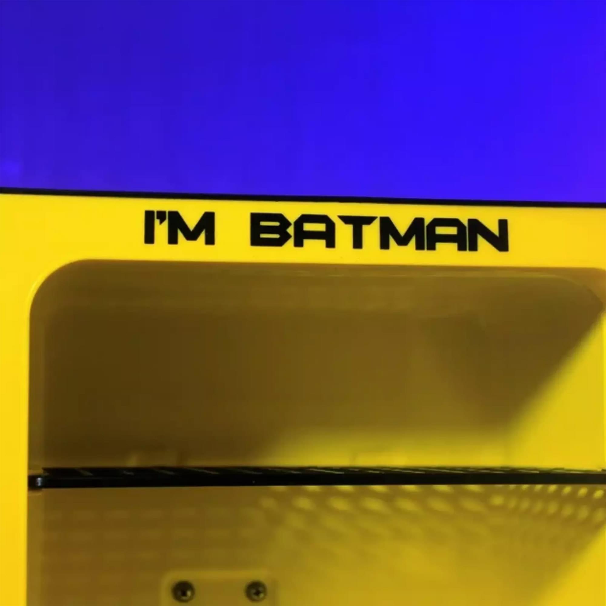 DC Comics Batman Logo 6.7L Thermoelectric Cooler - Keep Your Drinks Chilled!