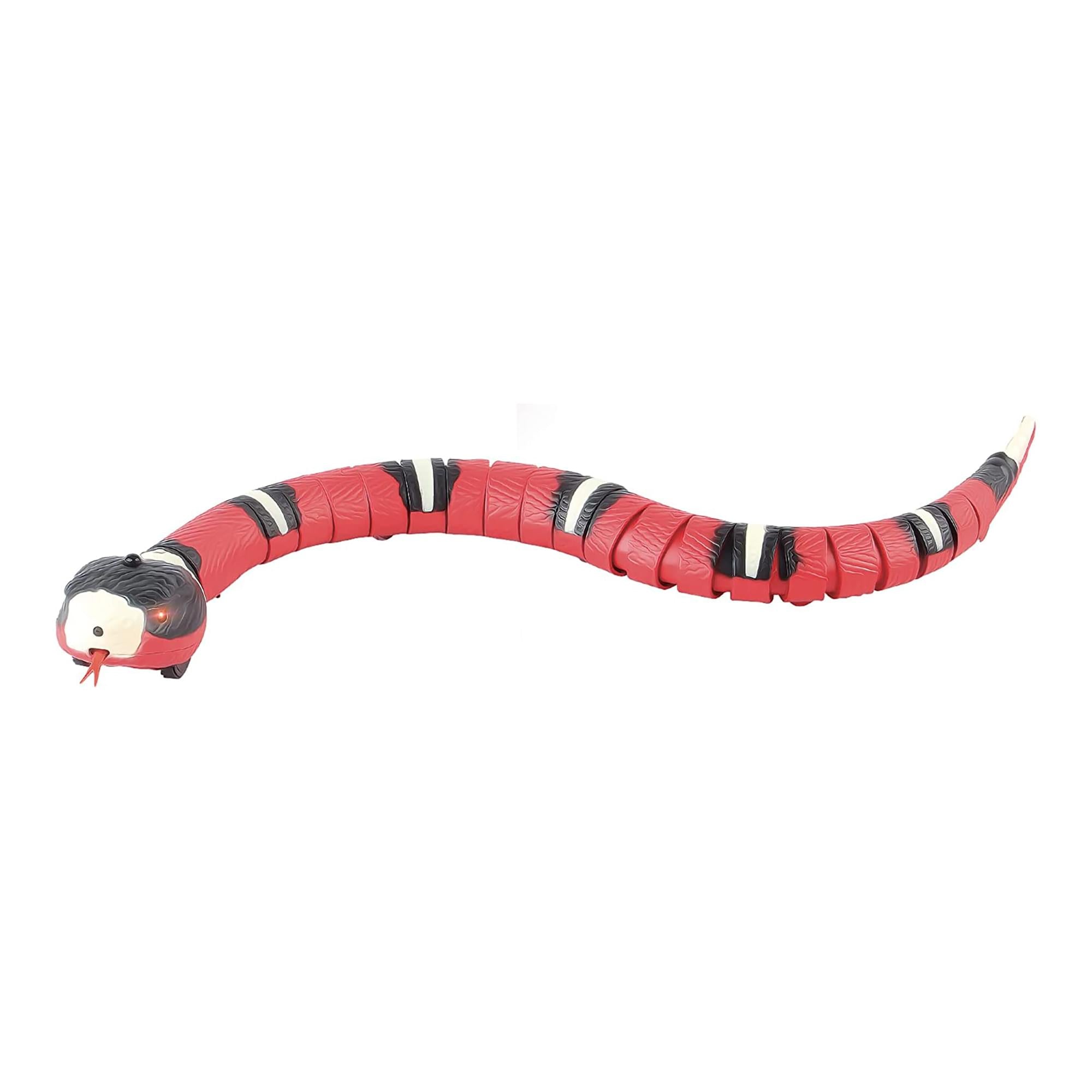 Amazing Robosnake: Sensor-Powered Motion Fun